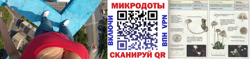 блэк спрут ТОР  Починок  Псилоцибиновые грибы MAGIC MUSHROOMS  купить  